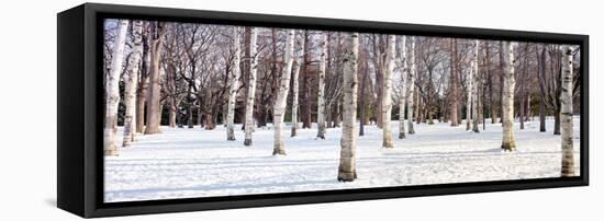 Hokkaido 4-Alan Blaustein-Framed Stretched Canvas