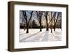 Hokkaido Landscape No.11-Alan Blaustein-Framed Photographic Print