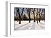 Hokkaido Landscape No.11-Alan Blaustein-Framed Photographic Print