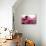 Hokusai - Pink Wave-null-Mounted Art Print displayed on a wall