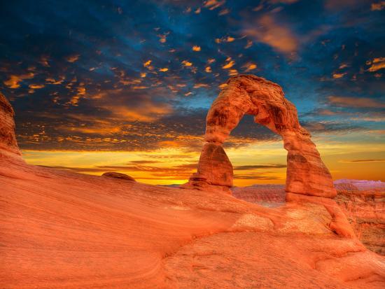 Photographic Print, , large