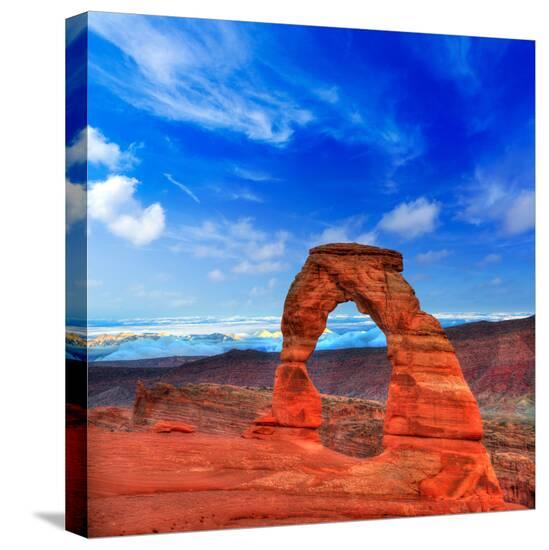 Stretched Canvas Print, , large