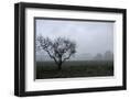 Chelsea Black