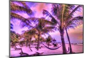 Holbox Island, Yucatan Peninsula, Quintana Roo, Mexico. HDR effect view of palm trees, beach and ha-Stuart Westmorland-Mounted Photographic Print