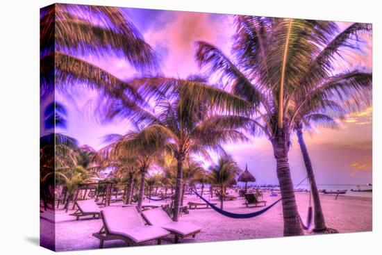 Holbox Island, Yucatan Peninsula, Quintana Roo, Mexico. HDR effect view of palm trees, beach and ha-Stuart Westmorland-Stretched Canvas