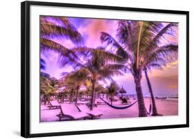 Holbox Island, Yucatan Peninsula, Quintana Roo, Mexico. HDR effect view of palm trees, beach and ha-Stuart Westmorland-Framed Photographic Print
