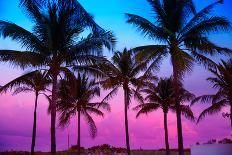 Miami Beach South Beach Sunset Palm Trees in Ocean Drive Florida-holbox-Photographic Print