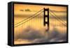 Hold Me Now, South Tower and Fog, Golden Gate Bridge, San Francisco Bay Area Sunrise-Vincent James-Framed Stretched Canvas