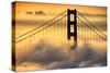 Hold Me Now, South Tower and Fog, Golden Gate Bridge, San Francisco Bay Area Sunrise-Vincent James-Stretched Canvas