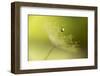 Hold on !-Heidi Westum-Framed Photographic Print