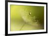 Hold on !-Heidi Westum-Framed Photographic Print