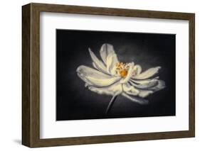 Holding on with One Hand-Philippe Sainte-Laudy-Framed Photographic Print
