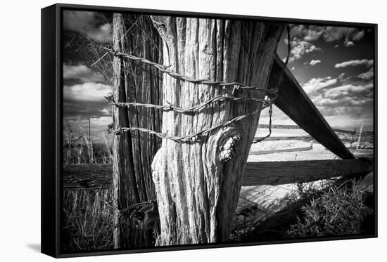 Holding Strong-Dan Ballard-Framed Stretched Canvas