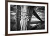 Holding Strong-Dan Ballard-Framed Photographic Print