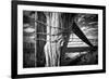 Holding Strong-Dan Ballard-Framed Photographic Print