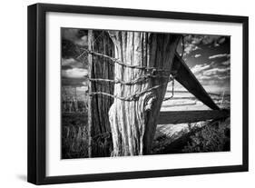 Holding Strong-Dan Ballard-Framed Photographic Print