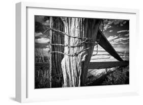 Holding Strong-Dan Ballard-Framed Photographic Print