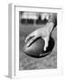 Holding the Football is Player Paul Dekker of Michigan State-Joe Scherschel-Framed Photographic Print