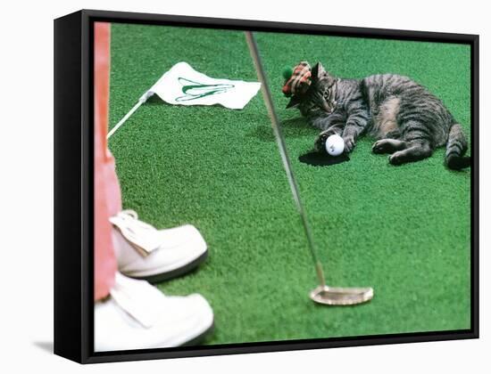 Hole in One-null-Framed Stretched Canvas