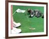 Hole in One-null-Framed Photographic Print