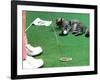 Hole in One-null-Framed Photographic Print