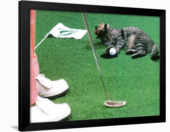 Hole in One-null-Framed Photographic Print