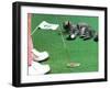 Hole in One-null-Framed Photographic Print