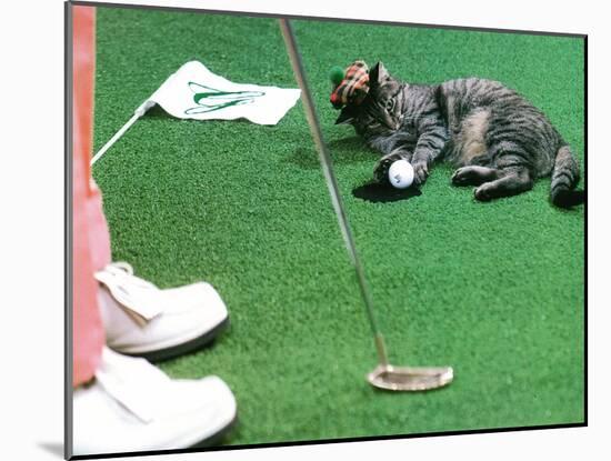 Hole in One-null-Mounted Photographic Print