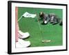 Hole in One-null-Framed Photographic Print