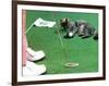 Hole in One-null-Framed Photographic Print