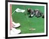 Hole in One-null-Framed Photographic Print