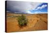 Hole in the Rock Road Near Escalante Utah Offers Many Scenic Spots-Richard Wright-Stretched Canvas