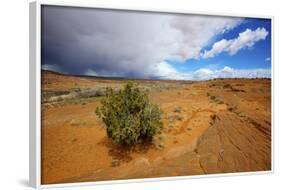 Hole in the Rock Road Near Escalante Utah Offers Many Scenic Spots-Richard Wright-Framed Photographic Print