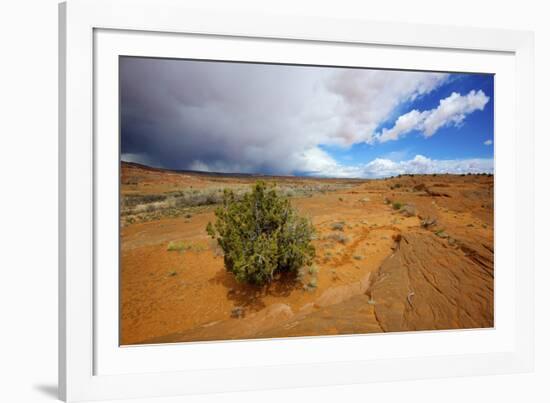 Hole in the Rock Road Near Escalante Utah Offers Many Scenic Spots-Richard Wright-Framed Photographic Print