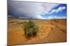 Hole in the Rock Road Near Escalante Utah Offers Many Scenic Spots-Richard Wright-Mounted Photographic Print