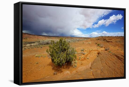 Hole in the Rock Road Near Escalante Utah Offers Many Scenic Spots-Richard Wright-Framed Stretched Canvas