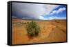 Hole in the Rock Road Near Escalante Utah Offers Many Scenic Spots-Richard Wright-Framed Stretched Canvas