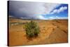 Hole in the Rock Road Near Escalante Utah Offers Many Scenic Spots-Richard Wright-Stretched Canvas