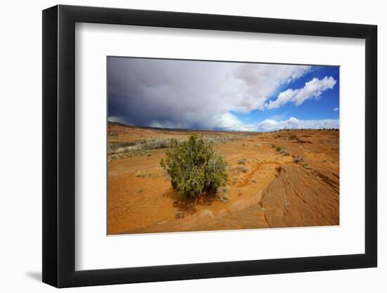 Hole in the Rock Road Near Escalante Utah Offers Many Scenic Spots-Richard Wright-Framed Photographic Print