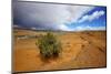 Hole in the Rock Road Near Escalante Utah Offers Many Scenic Spots-Richard Wright-Mounted Photographic Print