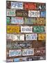 Hole in the Rock Tourist Shop With Old License Plates, Moab, Utah, USA-Walter Bibikow-Mounted Photographic Print