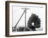 Hole in Tree Allows Telephone Wires Thru-null-Framed Premium Photographic Print