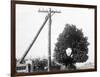 Hole in Tree Allows Telephone Wires Thru-null-Framed Photographic Print