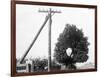 Hole in Tree Allows Telephone Wires Thru-null-Framed Photographic Print