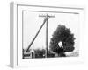 Hole in Tree Allows Telephone Wires Thru-null-Framed Photographic Print