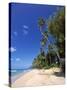 Holetown Beach, St James, Barbados-Stefano Amantini-Stretched Canvas