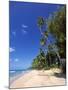 Holetown Beach, St James, Barbados-Stefano Amantini-Mounted Photographic Print