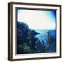 Holga Hawaii II-Jason Johnson-Framed Photographic Print