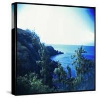 Holga Hawaii II-Jason Johnson-Stretched Canvas