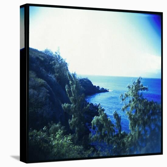 Holga Hawaii II-Jason Johnson-Stretched Canvas